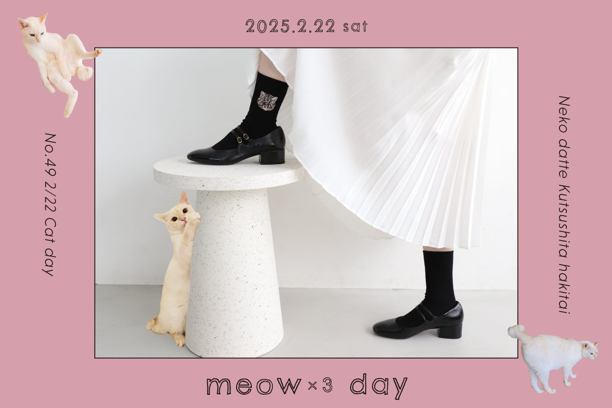 ネコだって靴下履きたい vol.49