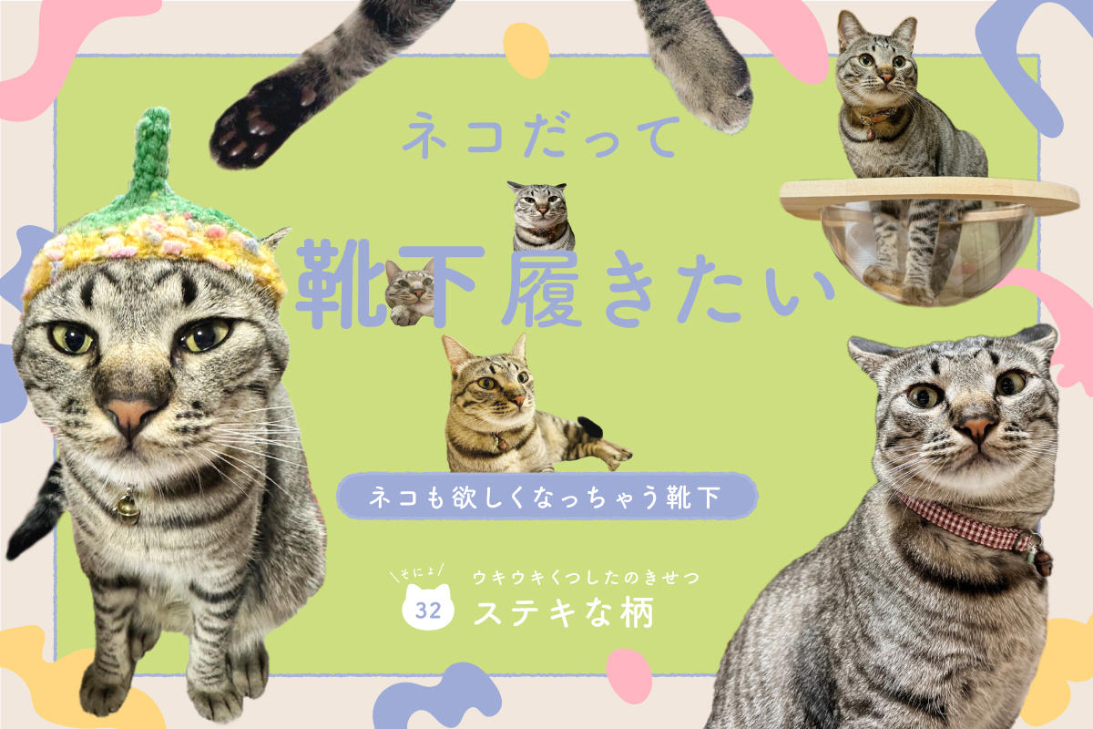 ネコだって靴下履きたい vol.32
