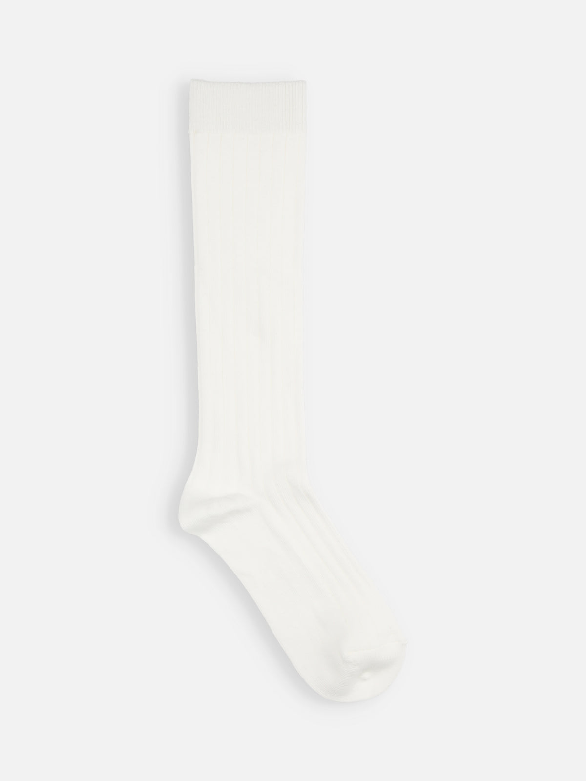 【キッズ】コットンリブハイソックス / 16-18cm - オフホワイト